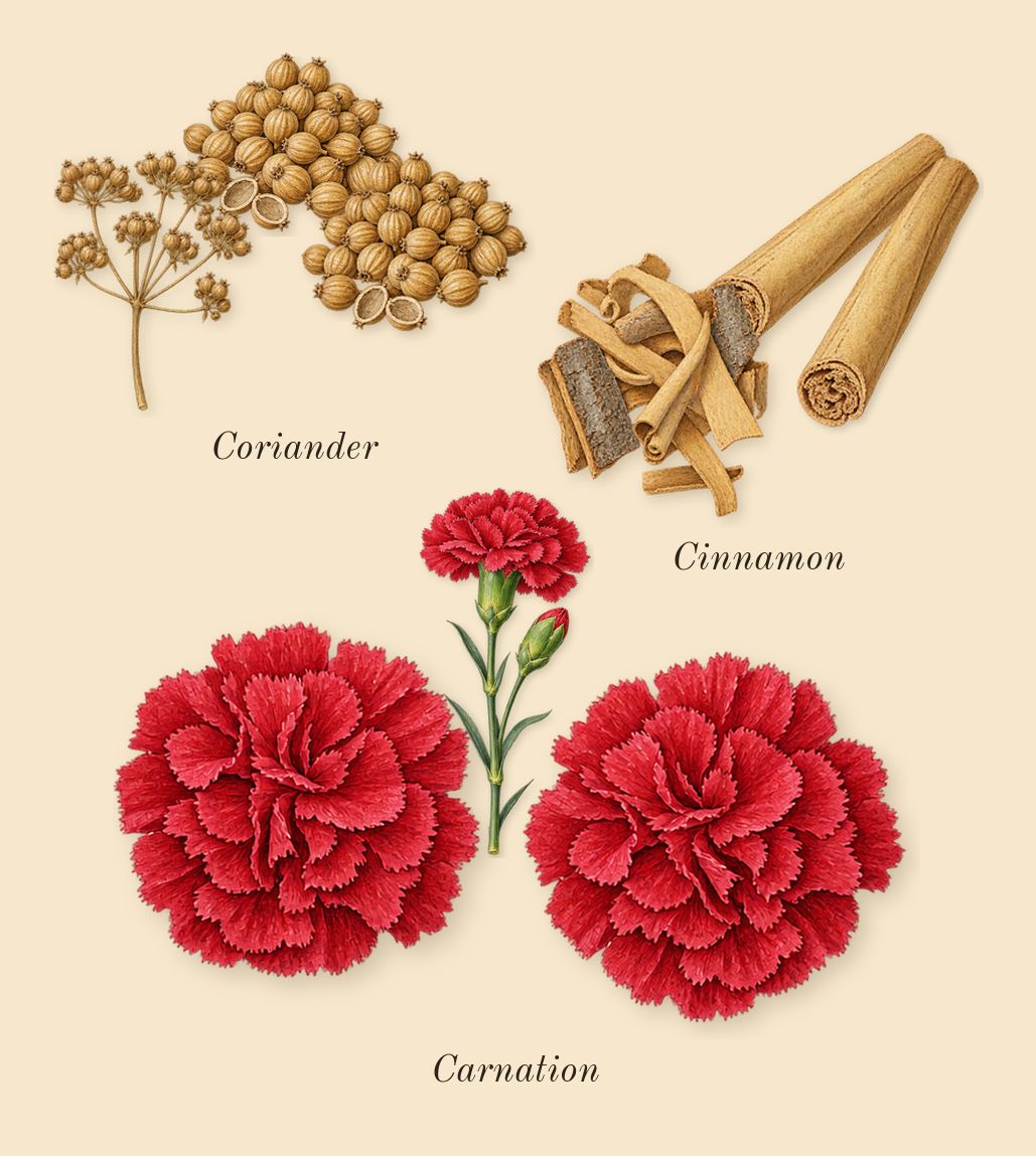Drakkar Noir, heart: Carnation, Cinnamon, Coriander