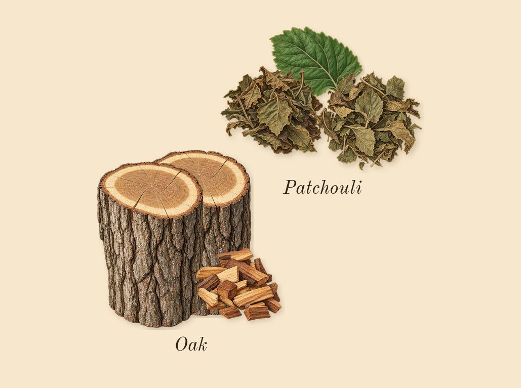 Barénia, dry-down: Oak, Patchouli