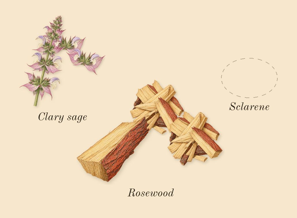 H24, heart: Clary sage, Sclarene, Rosewood