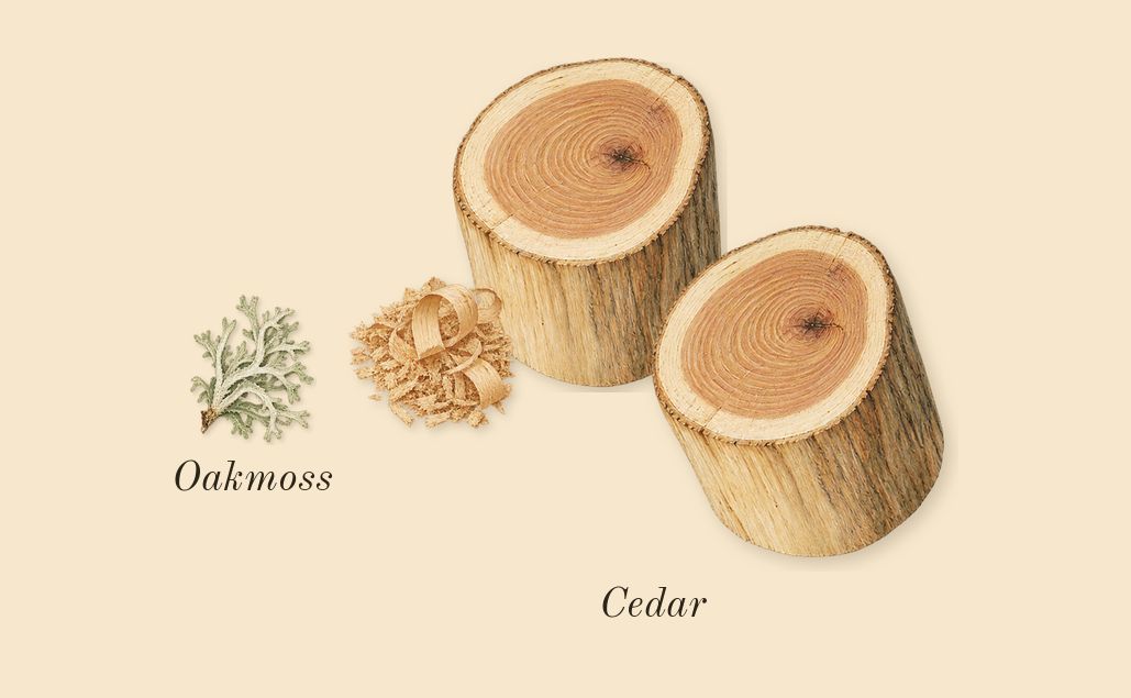 Terre d'Hermès, dry-down: Cedar, Oakmoss