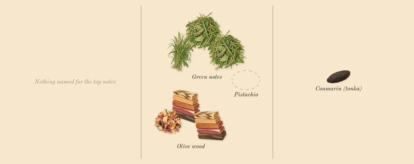 Un Jardin à Cythère’s scent picture, a draft: green notes, olive wood, coumarin (tonka) drawn so far; dashed outlines where nothing is drawn yet