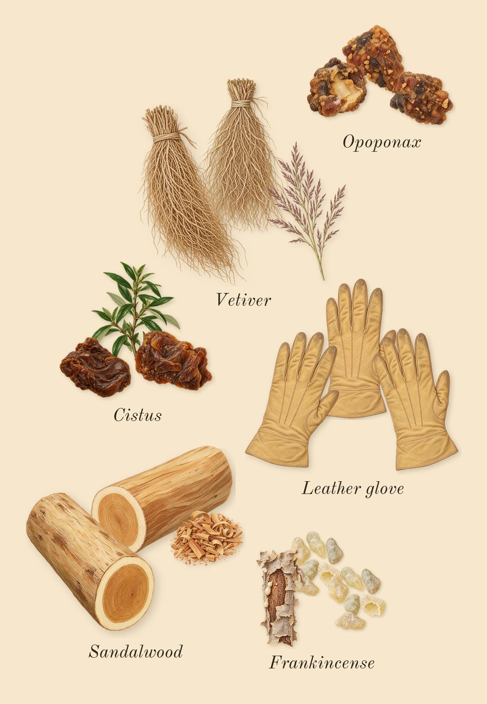 Honour 43 Woman, dry-down: Sandalwood, Cistus, Vetiver, Frankincense, Opoponax, Leather glove