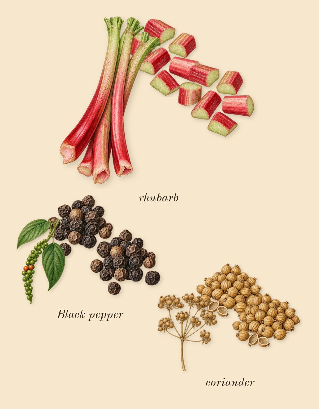 Honour 43 Woman, top notes: Black pepper, rhubarb, coriander
