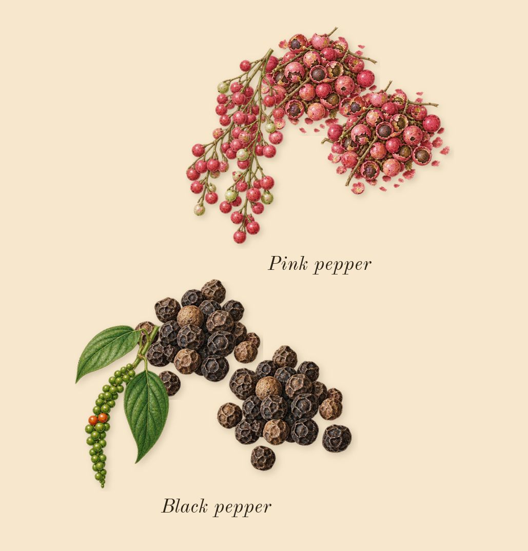 Honour Man, top notes: Pink pepper, Black pepper