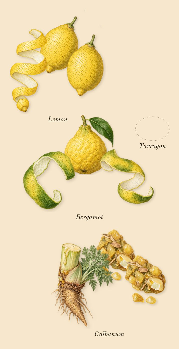 Quelques Fleurs L'Original, top notes: Bergamot, Galbanum, Tarragon, Lemon