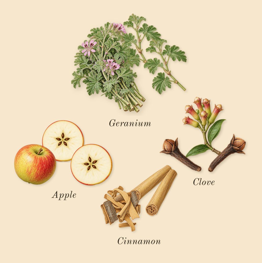 Bottled, heart: Geranium, Clove, Apple, Cinnamon