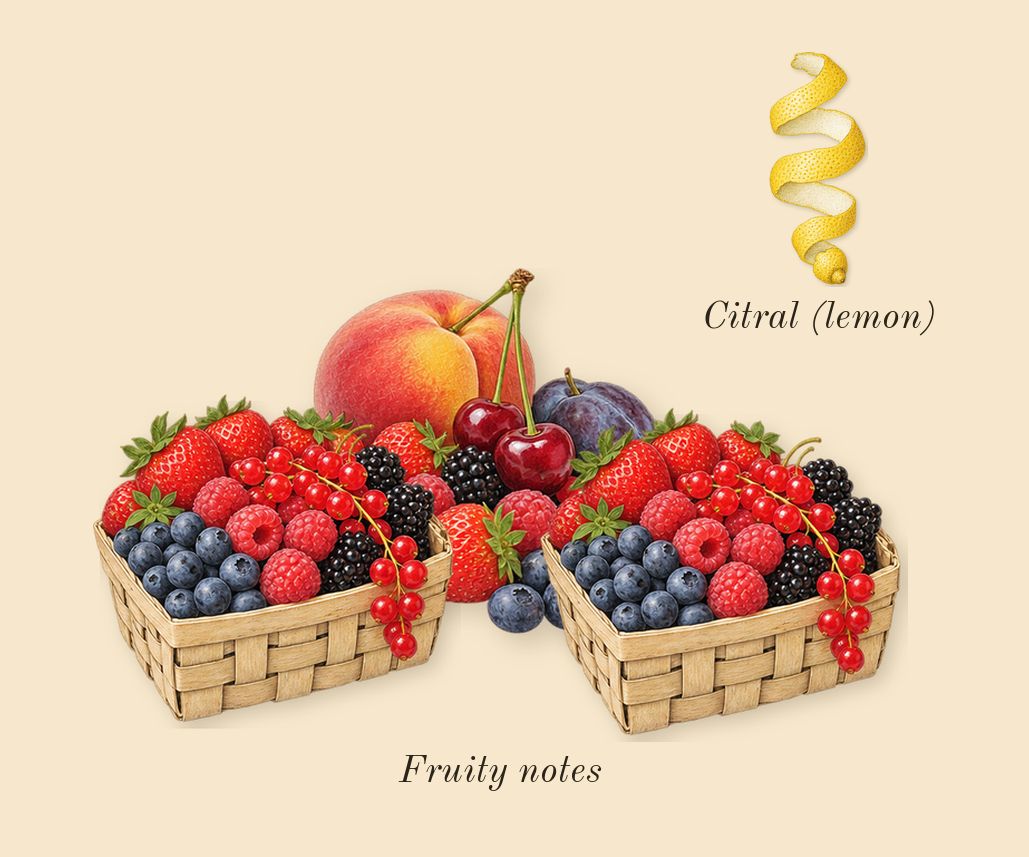 Bottled, top notes: Fruity notes, Citral (lemon)