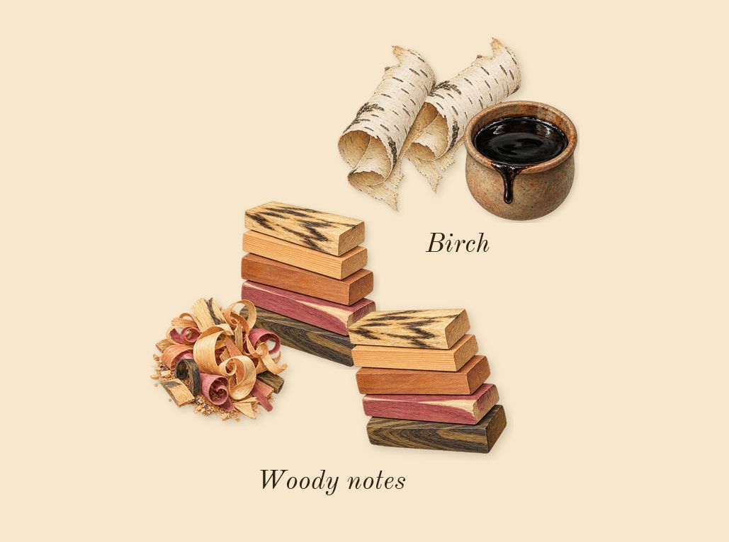 Bottled Night, dry-down: Woody notes, Birch