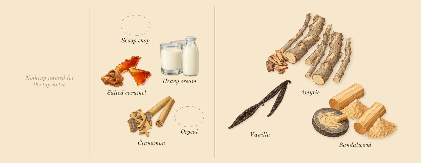 A Whiff of Waffle Cone’s scent picture, a draft: vanilla, salted caramel, cinnamon, heavy cream, sandalwood, amyris drawn so far; dashed outlines where nothing is drawn yet