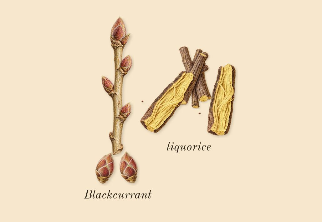 Imitation Woman, heart: Blackcurrant, liquorice