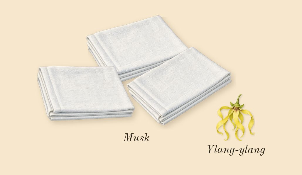 Absolute Aphrodisiac, heart: Musk, Ylang-ylang