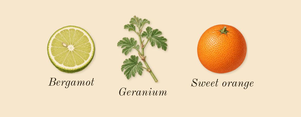 Absolute Aphrodisiac, top notes: Bergamot, Geranium, Sweet orange