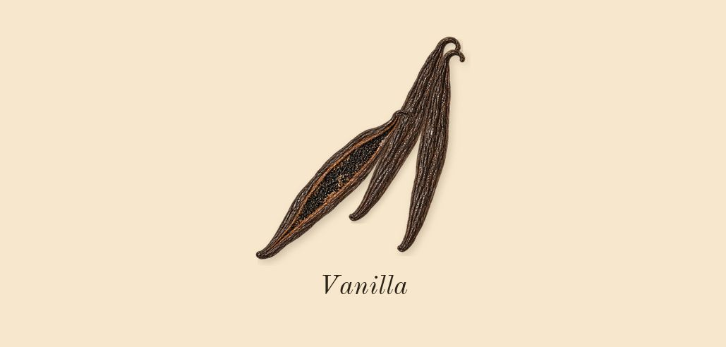 Atomic Rose, dry-down: Vanilla