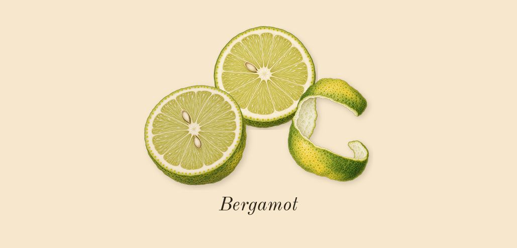 Atomic Rose, top notes: Bergamot