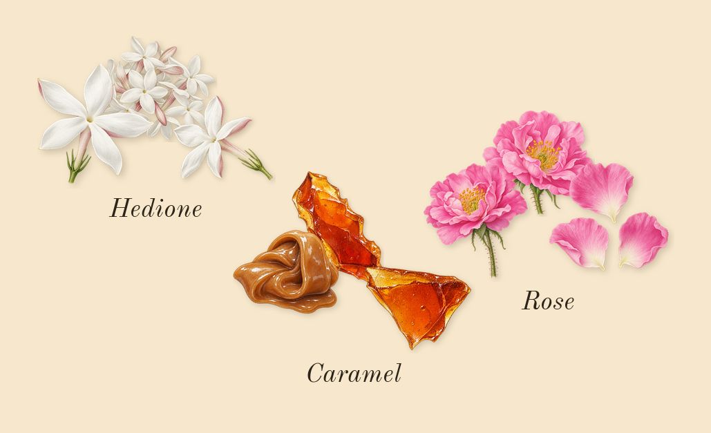 Can't Get Enough, heart: Rose, Hedione, Caramel