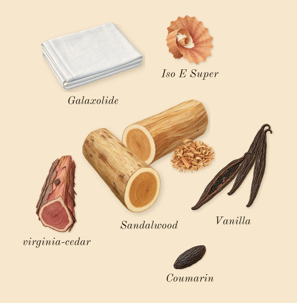 High Frequency, dry-down: Vanilla, Sandalwood, virginia-cedar, Iso E Super, Galaxolide, Coumarin