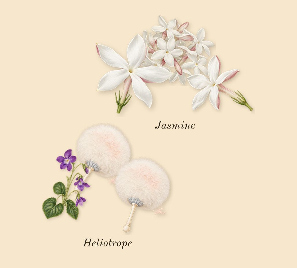 High Frequency, heart: Jasmine, Heliotrope