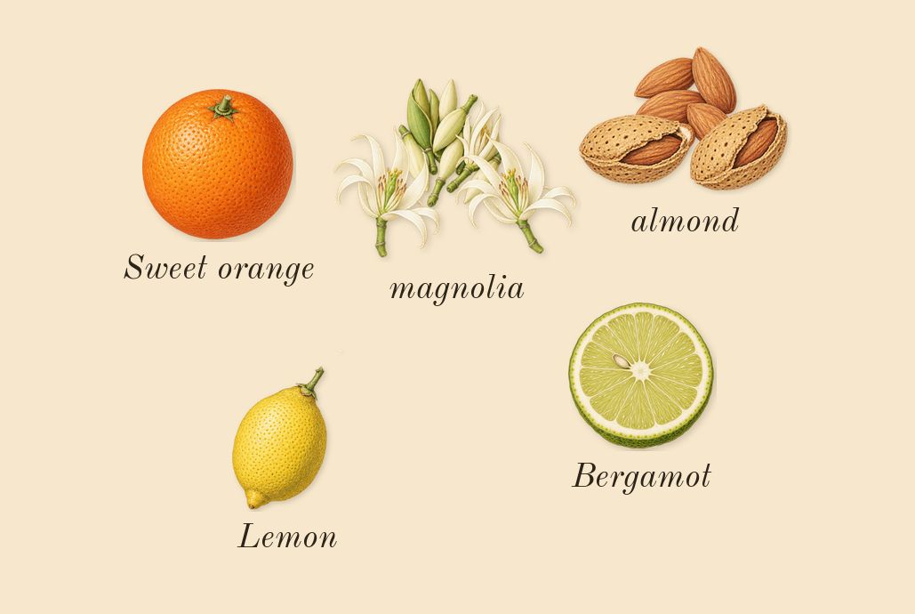 High Frequency, top notes: magnolia, almond, Sweet orange, Lemon, Bergamot