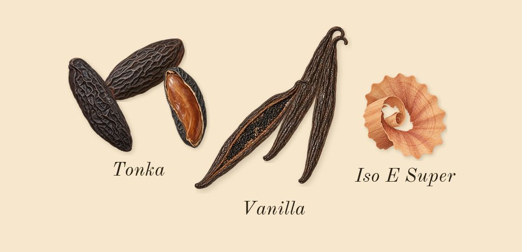 Lift Me Up, dry-down: Tonka, Vanilla, Iso E Super