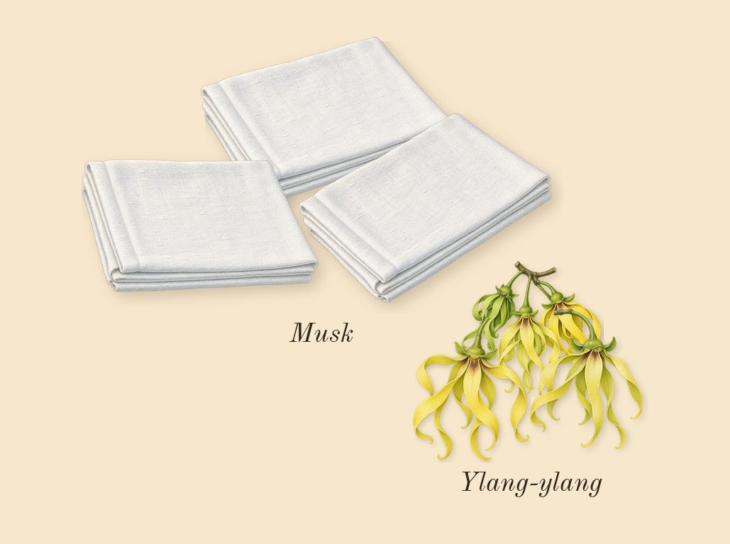 Lift Me Up, heart: Ylang-ylang, Musk