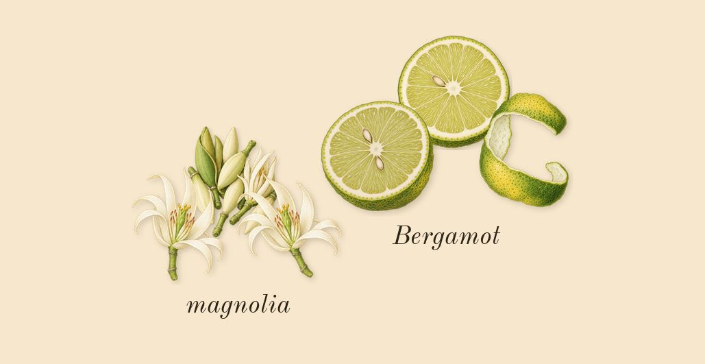 Lift Me Up, top notes: Bergamot, magnolia