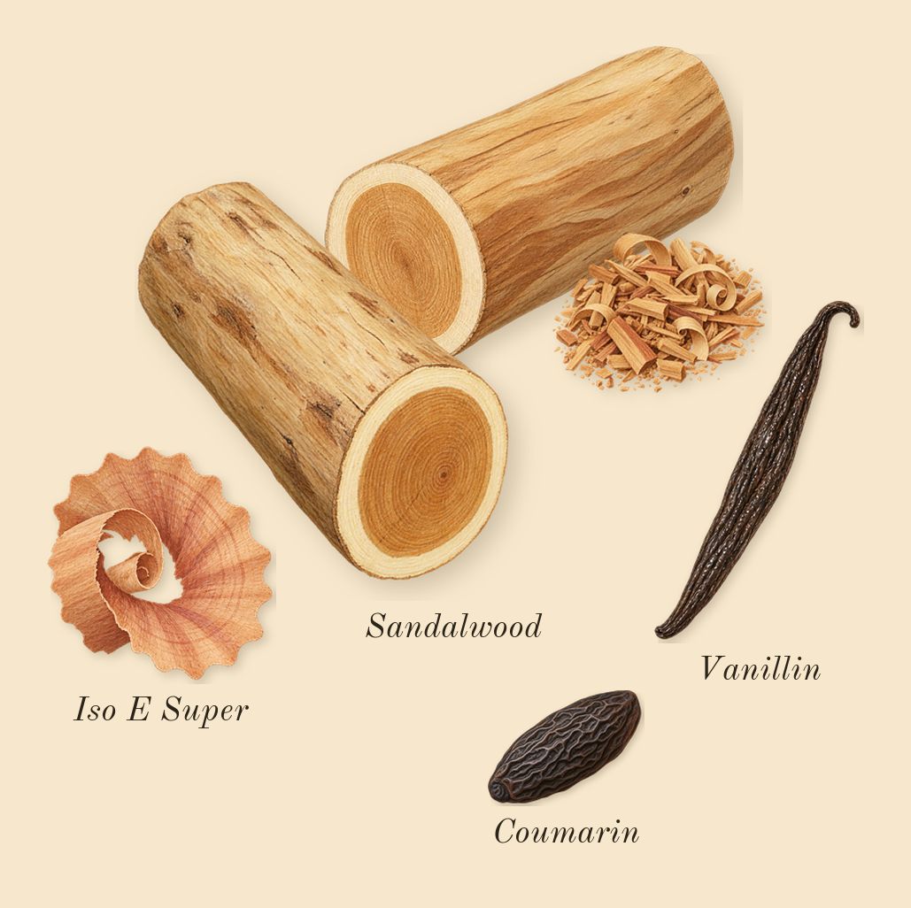 Musk Therapy, dry-down: Sandalwood, Iso E Super, Vanillin, Coumarin
