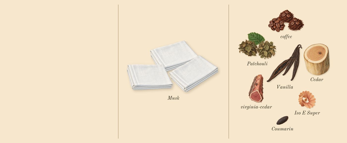 Mystic Experience’s scent picture, a draft: coffee, musk, vanilla, patchouli, virginia-cedar, cedar drawn so far; dashed outlines where nothing is drawn yet