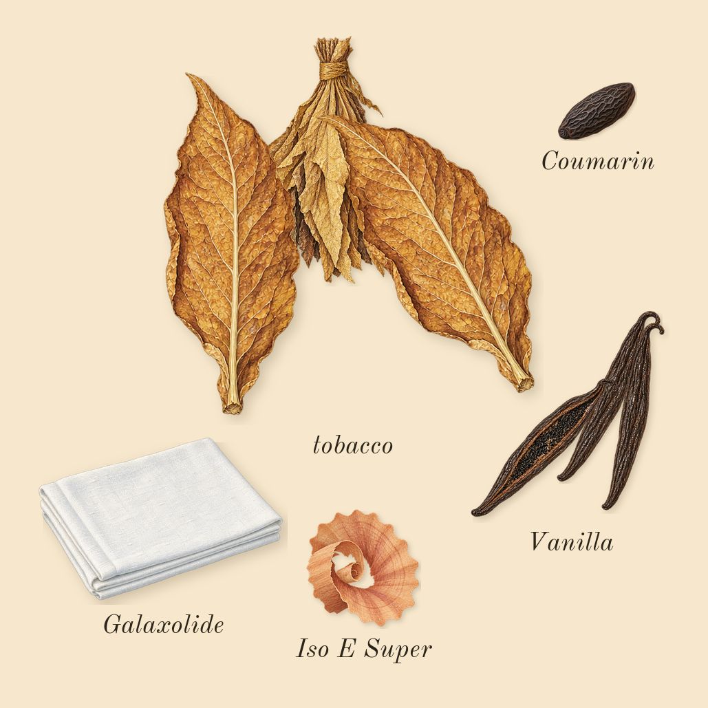 Narcotic Delight, dry-down: Vanilla, tobacco, Iso E Super, Galaxolide, Coumarin