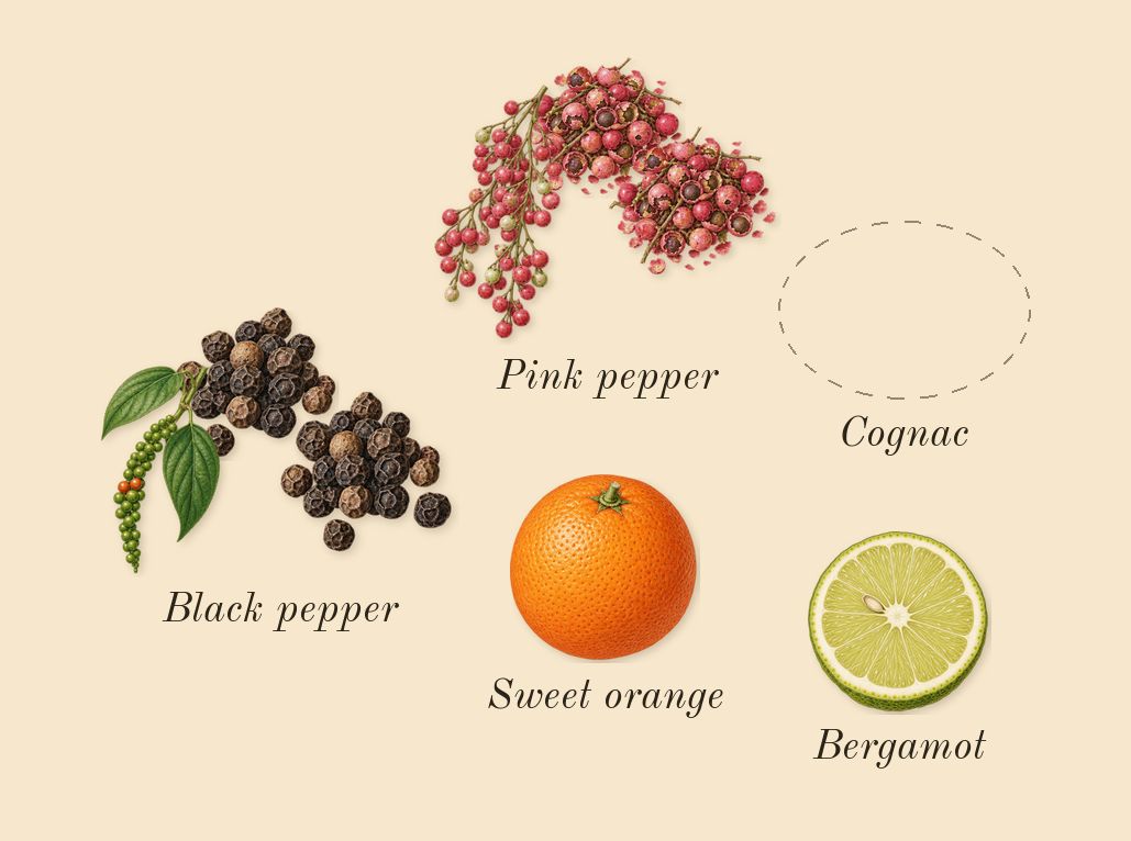 Narcotic Delight, top notes: Cognac, Black pepper, Pink pepper, Sweet orange, Bergamot