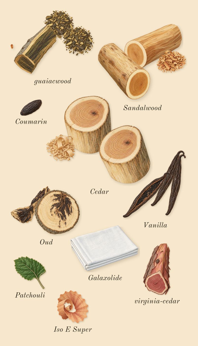 Oud for Grace, dry-down: Vanilla, Sandalwood, Cedar, guaiacwood, Oud, Patchouli, virginia-cedar, Iso E Super, Galaxolide, Coumarin