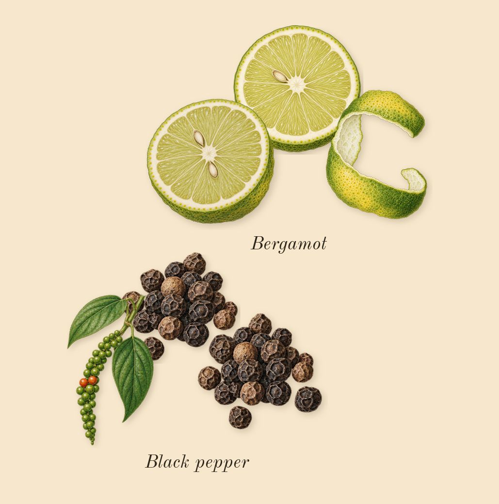 Oud for Grace, top notes: Bergamot, Black pepper