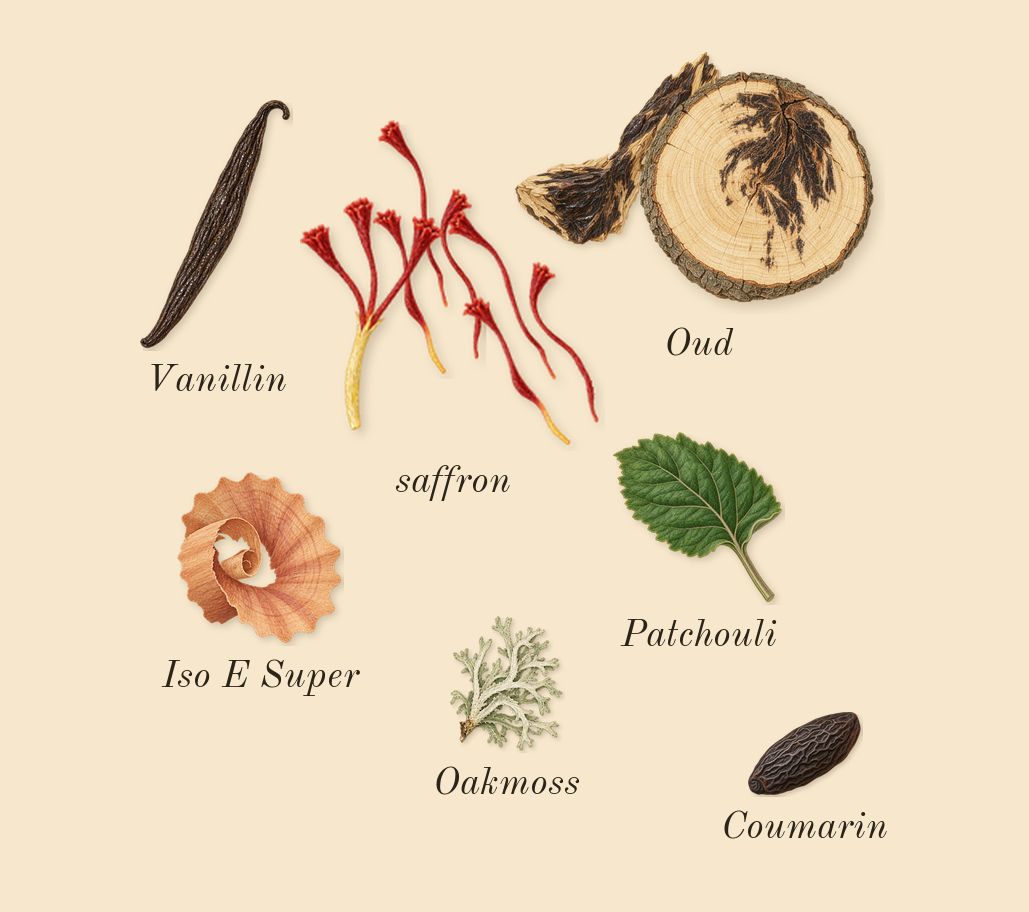 Oud for Greatness Neo, dry-down: Oud, saffron, Patchouli, Oakmoss, Iso E Super, Coumarin, Vanillin