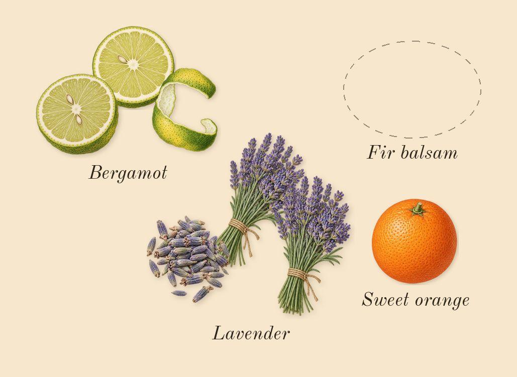 Oud for Greatness Neo, top notes: Bergamot, Lavender, Fir balsam, Sweet orange