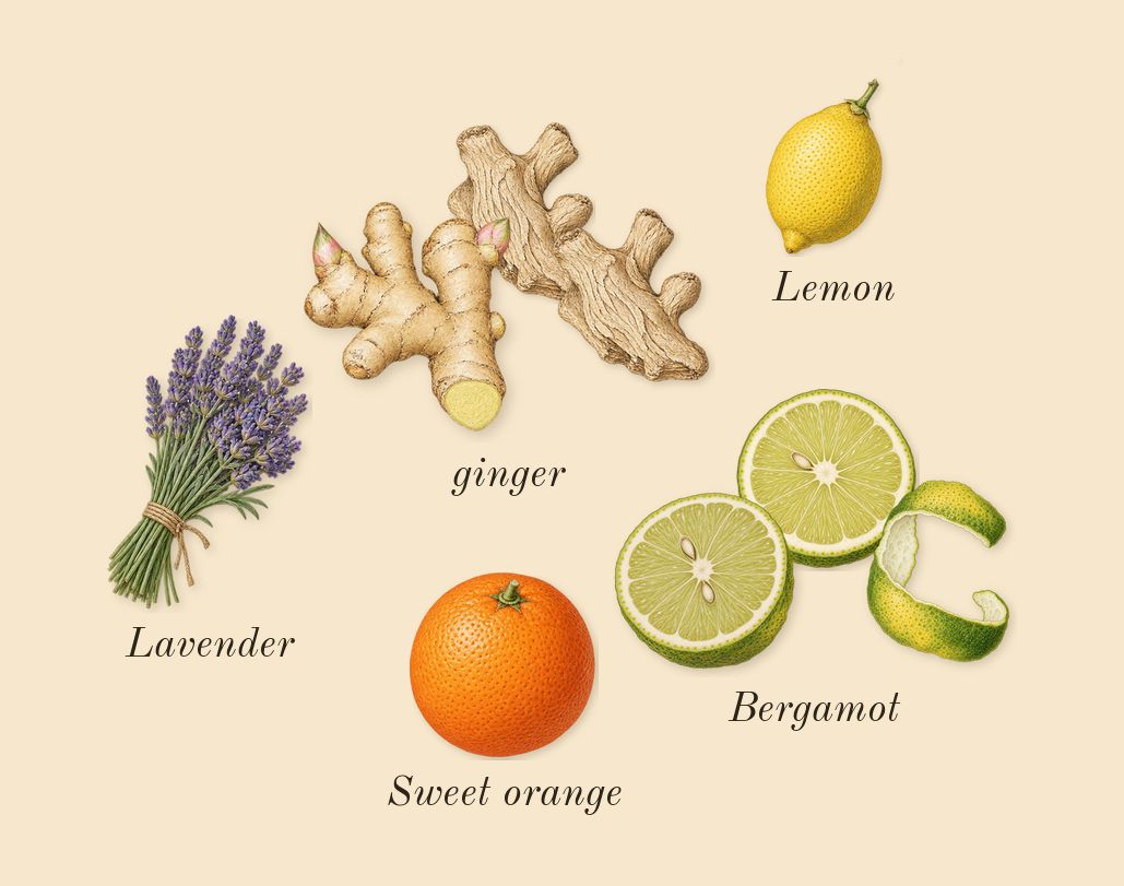 Oud for Happiness, top notes: Bergamot, ginger, Lemon, Sweet orange, Lavender