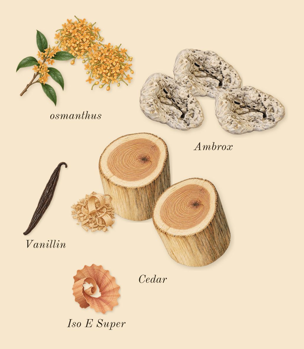 Power Self, dry-down: osmanthus, Ambrox, Cedar, Iso E Super, Vanillin