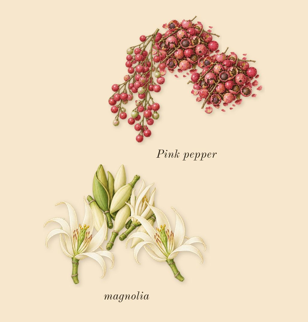 Power Self, top notes: magnolia, Pink pepper