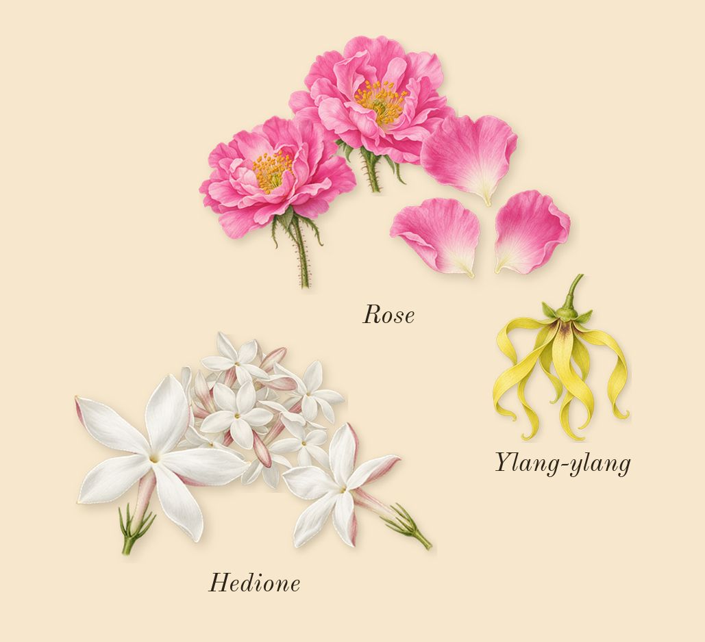 Psychedelic Love, heart: Rose, Hedione, Ylang-ylang
