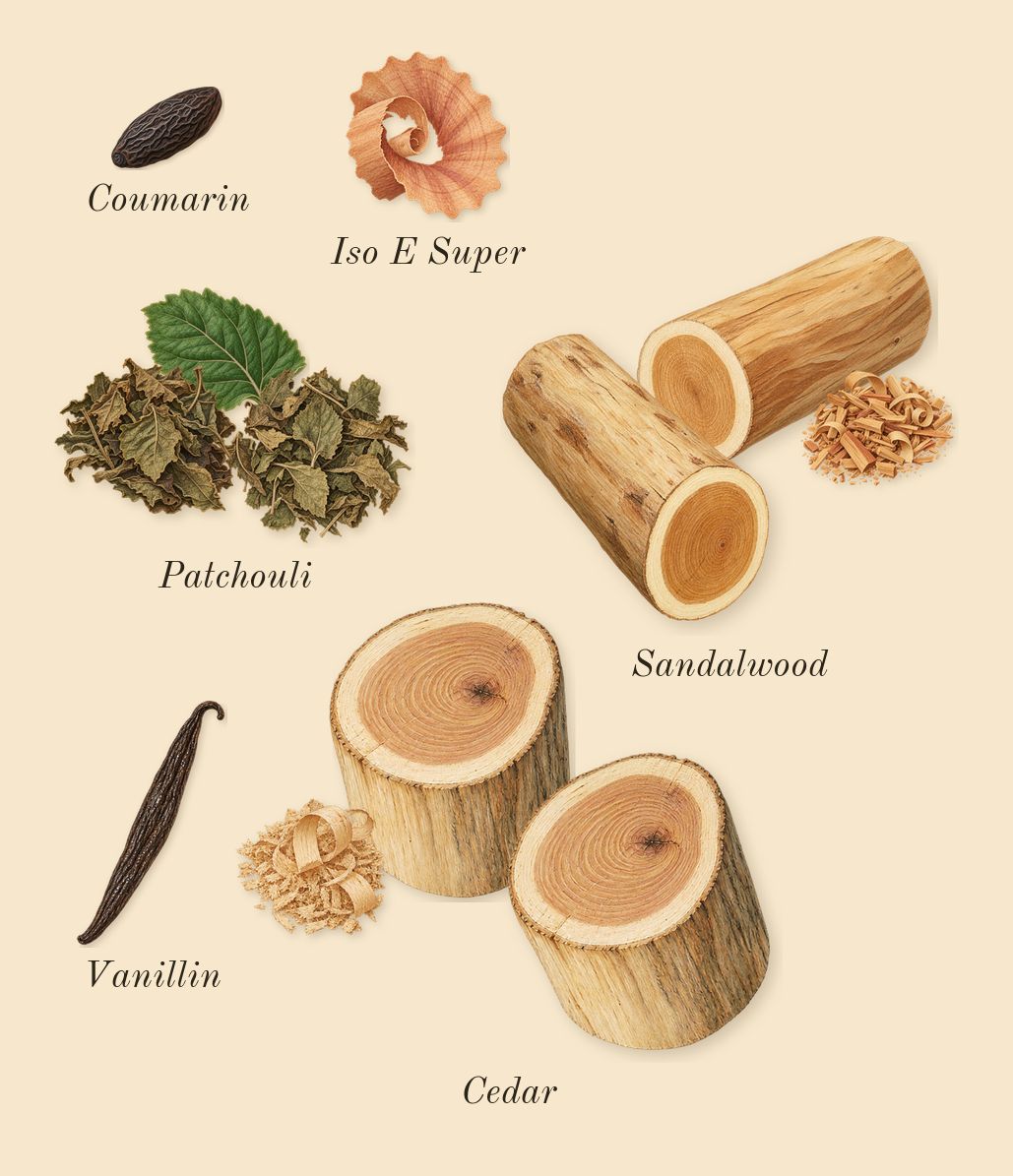 Rehab, dry-down: Cedar, Patchouli, Sandalwood, Iso E Super, Vanillin, Coumarin