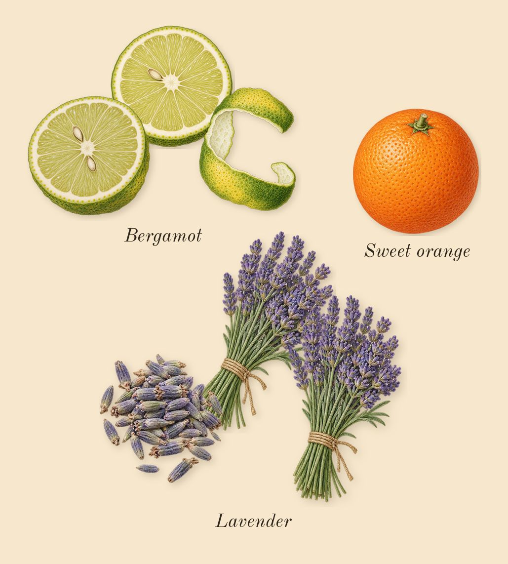 Rehab, top notes: Bergamot, Lavender, Sweet orange