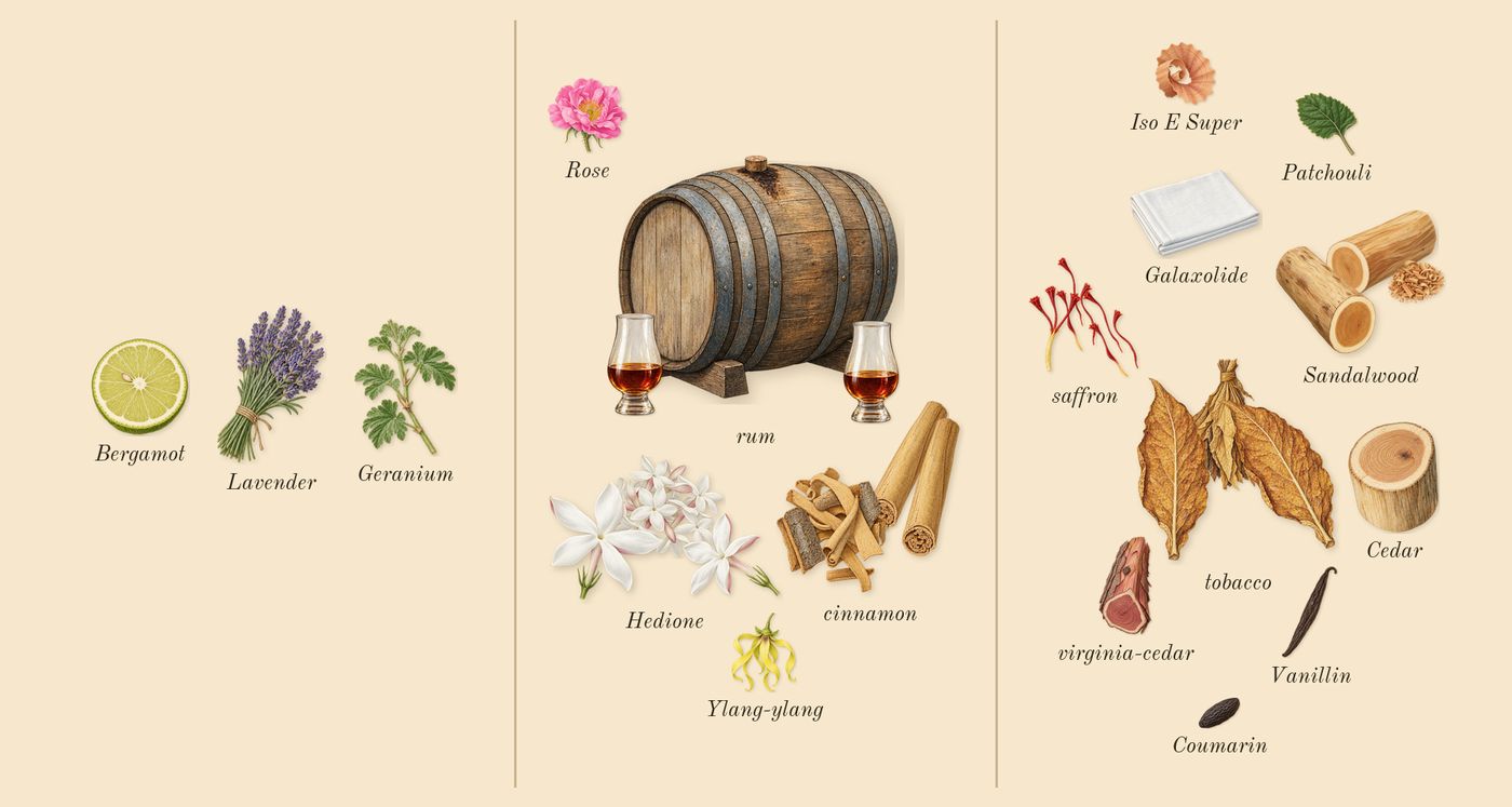 Side Effect’s scent picture, a draft: cinnamon, rum, tobacco, saffron, sandalwood, hedione drawn so far; dashed outlines where nothing is drawn yet