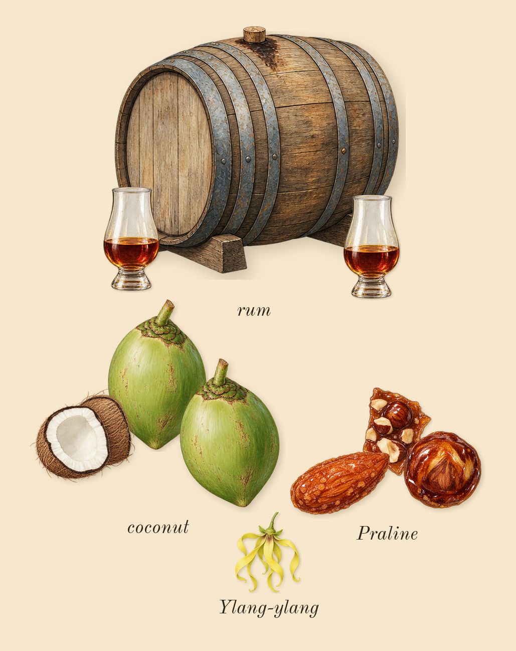 Sugar Blast, heart: coconut, Praline, rum, Ylang-ylang