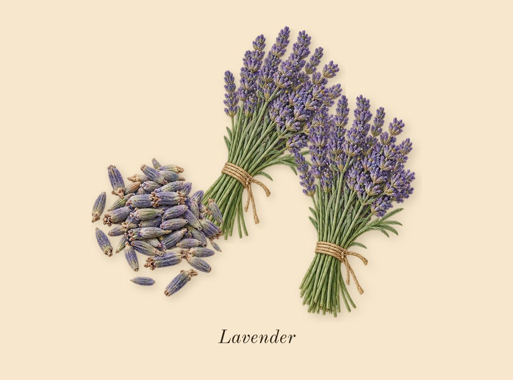 Sugar Blast, top notes: Lavender