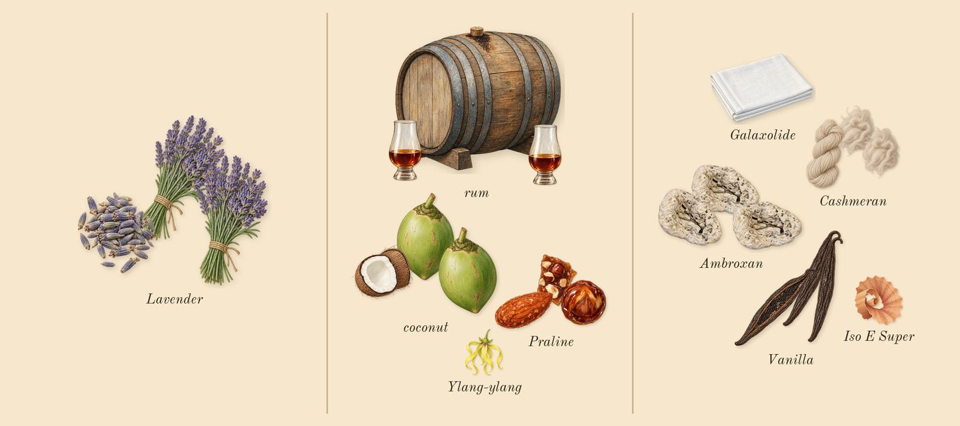 Sugar Blast’s scent picture, a draft: lavender, coconut, vanilla, praline, rum, cashmeran drawn so far; dashed outlines where nothing is drawn yet