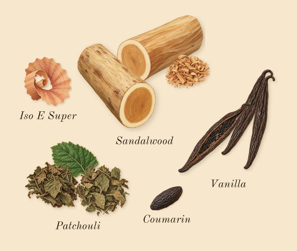 Wild Rush, dry-down: Vanilla, Sandalwood, Patchouli, Iso E Super, Coumarin