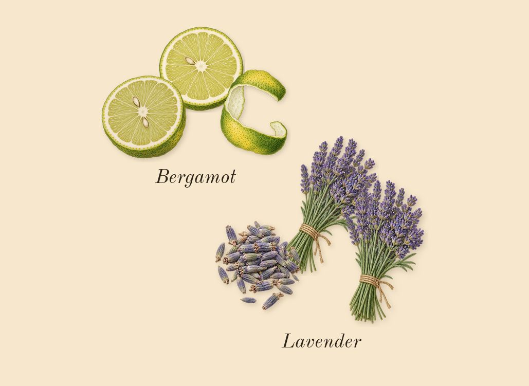 Wild Rush, top notes: Bergamot, Lavender
