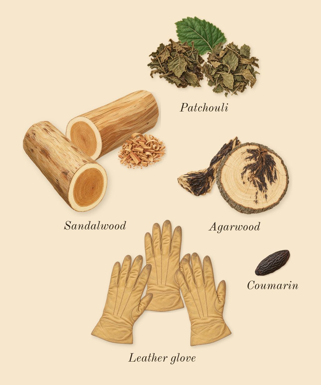 Interlude 53 Man, dry-down: Leather glove, Agarwood, Patchouli, Sandalwood, Coumarin