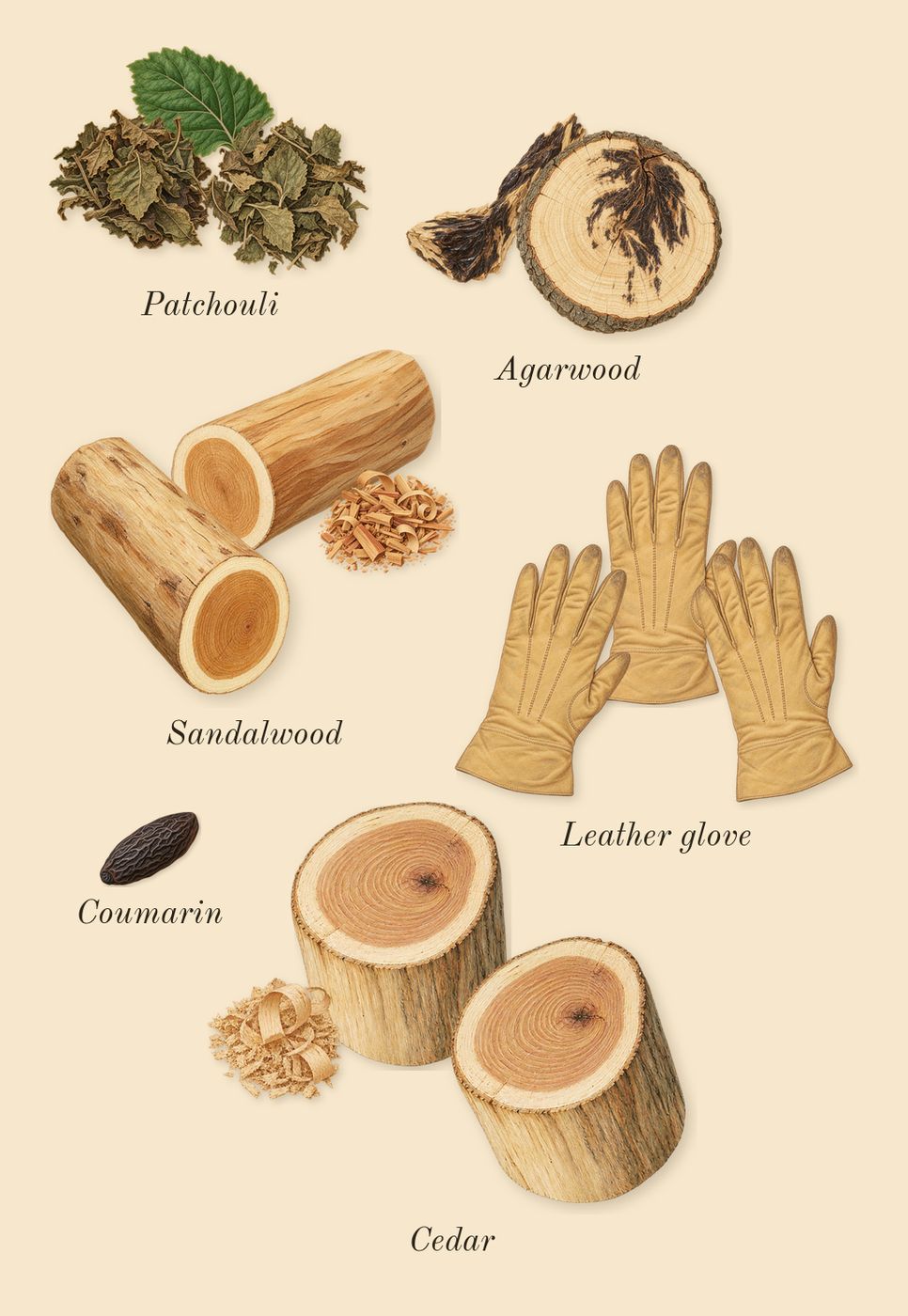 Interlude Black Iris Man, dry-down: Leather glove, Agarwood, Patchouli, Sandalwood, Cedar, Coumarin