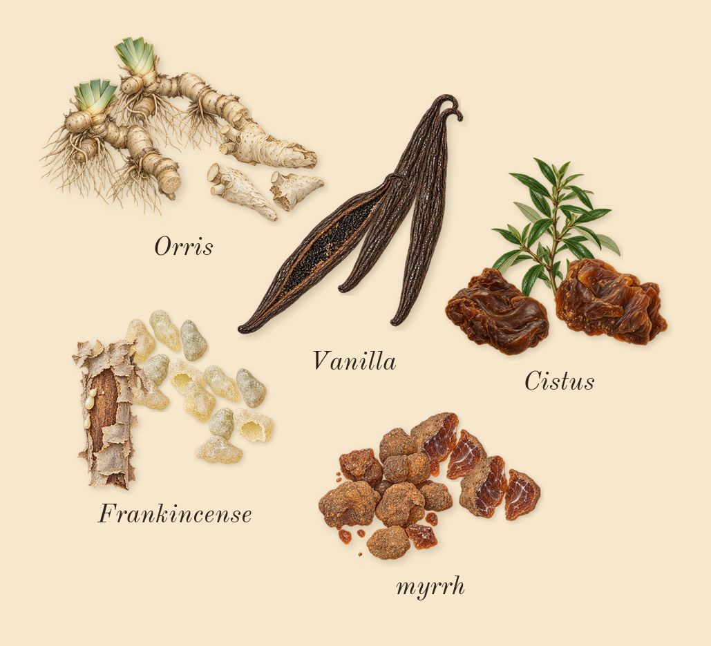 Interlude Black Iris Man, heart: Orris, Frankincense, Cistus, myrrh, Vanilla