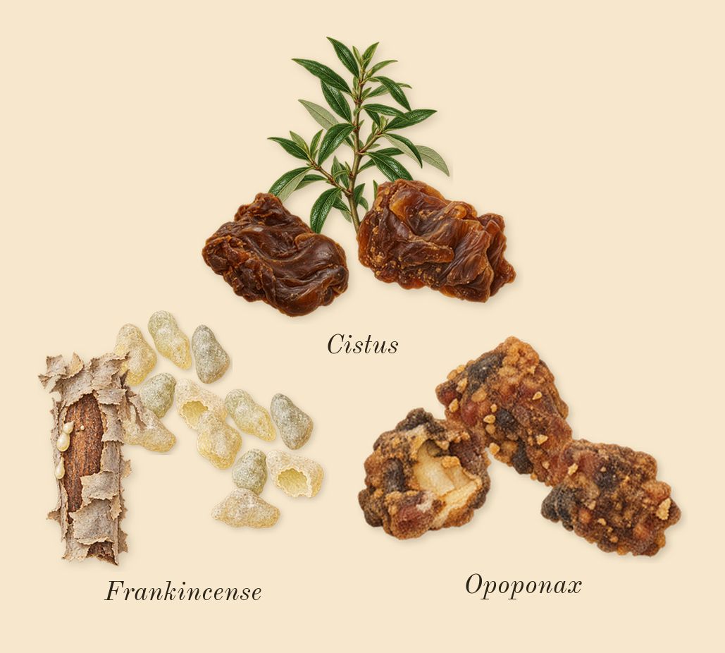 Interlude Man, heart: Frankincense, Cistus, Opoponax