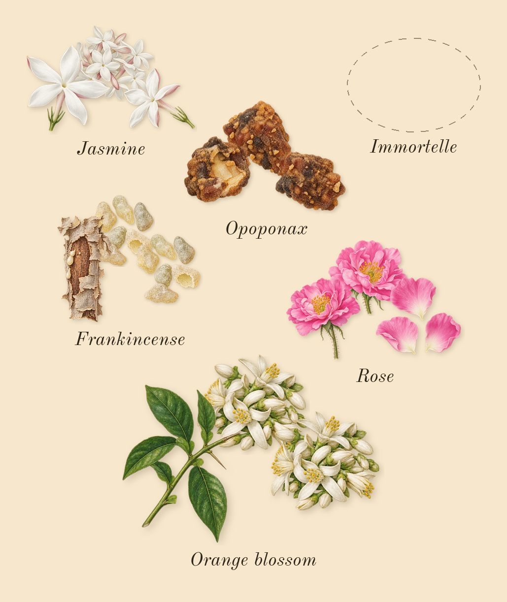 Interlude Woman, heart: Frankincense, Rose, Orange blossom, Immortelle, Jasmine, Opoponax